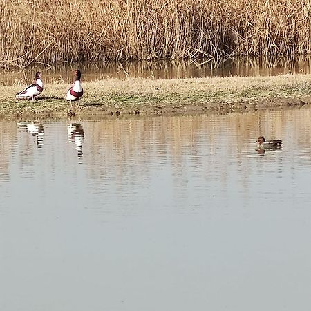 טסרה Agriturismo Venice Photobirding מראה חיצוני תמונה