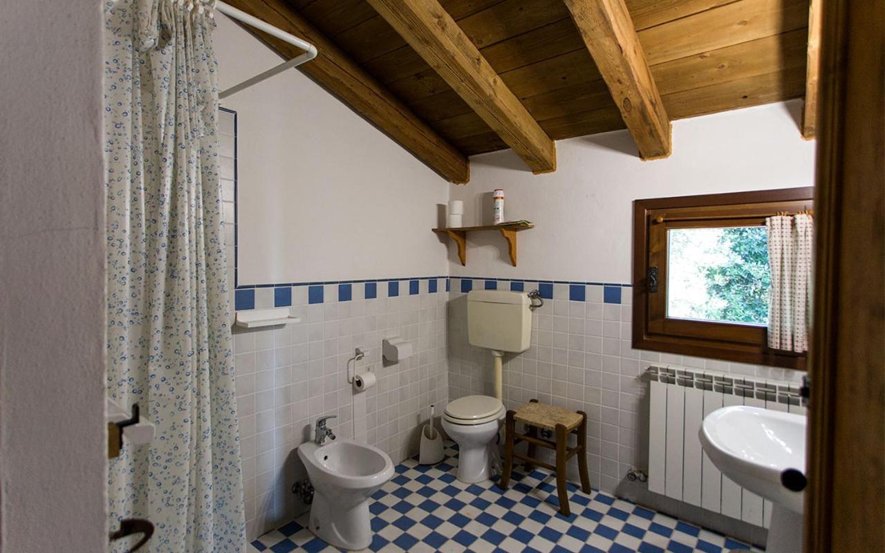 טסרה Agriturismo Venice Photobirding מראה חיצוני תמונה