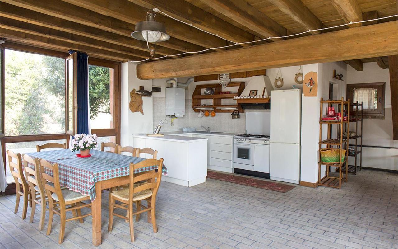 טסרה Agriturismo Venice Photobirding מראה חיצוני תמונה