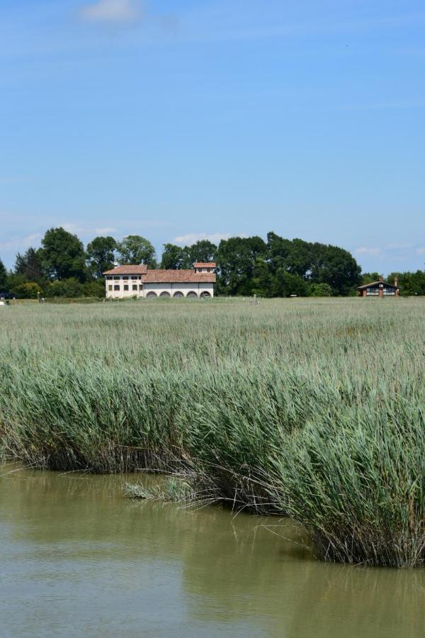 טסרה Agriturismo Venice Photobirding מראה חיצוני תמונה