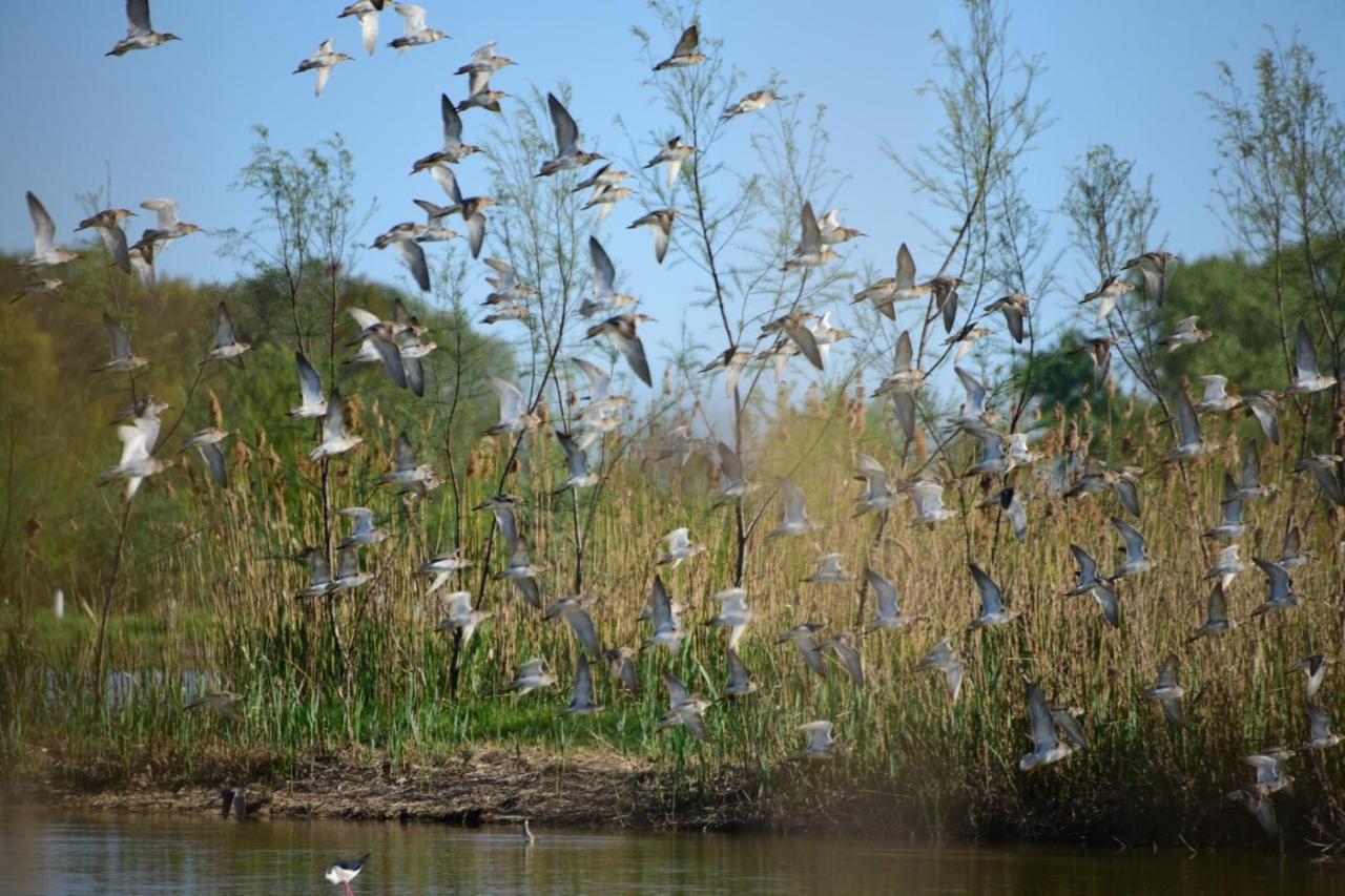 טסרה Agriturismo Venice Photobirding מראה חיצוני תמונה